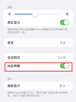 泰安苹果授权维修站分享iPhone轻点无法唤醒怎么办