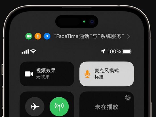 泰安苹果授权维修网点分享iPhone在通话时让你的声音更清晰 