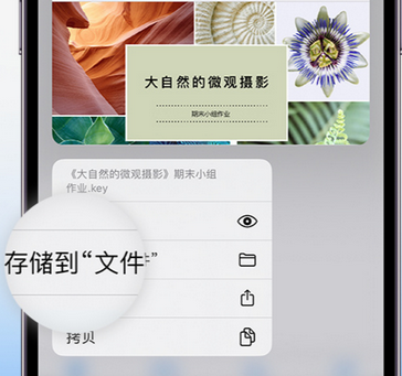 泰安apple维修中心分享iPhone文件应用中存储和找到下载文件