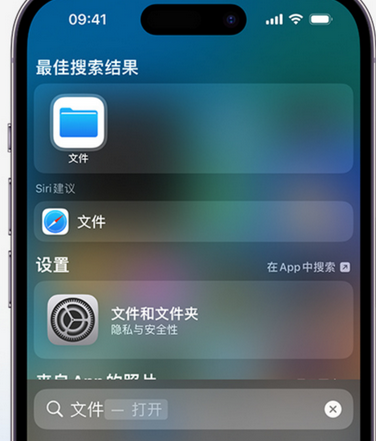 泰安apple维修中心分享iPhone文件应用中存储和找到下载文件 