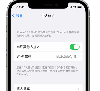 泰安apple服务站点分享iPhone上个人热点丢失了怎么办 