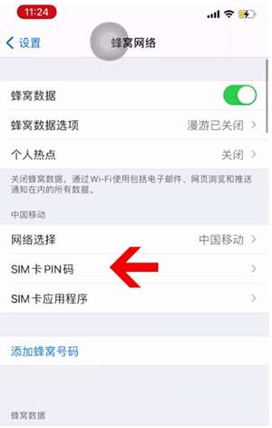 泰安苹果14维修网分享如何给iPhone14的SIM卡设置密码 