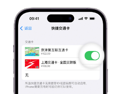 泰安apple维修点分享iPhone上更换Apple Pay快捷交通卡手绘卡面 