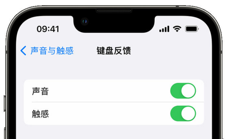 泰安苹果手机维修分享iPhone 14触感键盘使用方法 