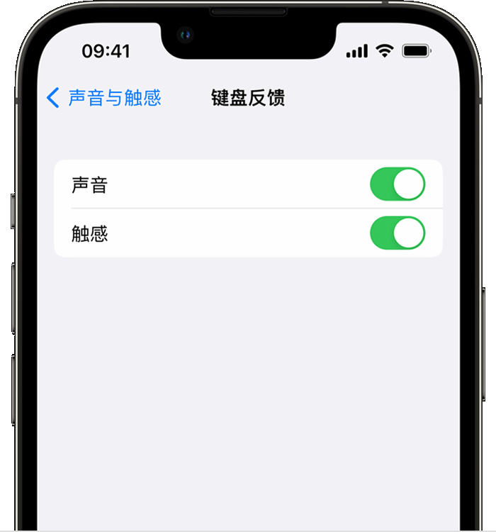 泰安苹果14维修店分享如何在 iPhone 14 机型中使用触感键盘 