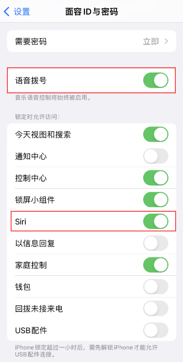 泰安苹果维修网点分享不解锁 iPhone 的情况下通过 Siri 拨打电话的方法 