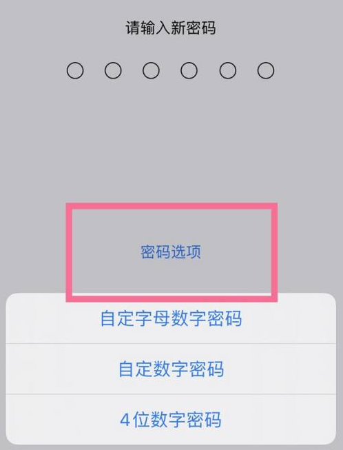 泰安苹果14维修分享iPhone 14plus设置密码的方法 