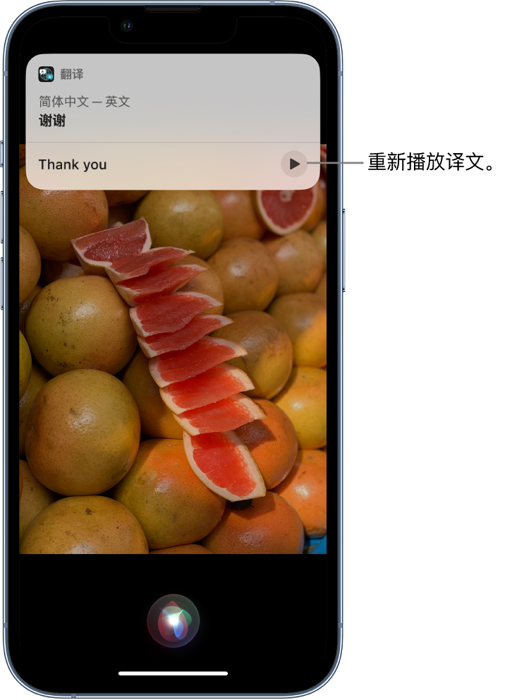 泰安苹果14维修分享 iPhone 14 机型中使用 Siri：了解 Siri 能帮你做什么 