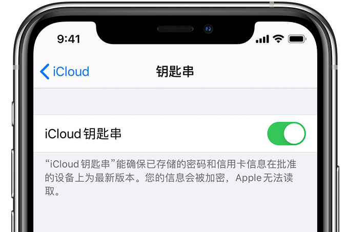 泰安苹果手机维修分享在 iPhone 上开启 iCloud 钥匙串之后会储存哪些信息 