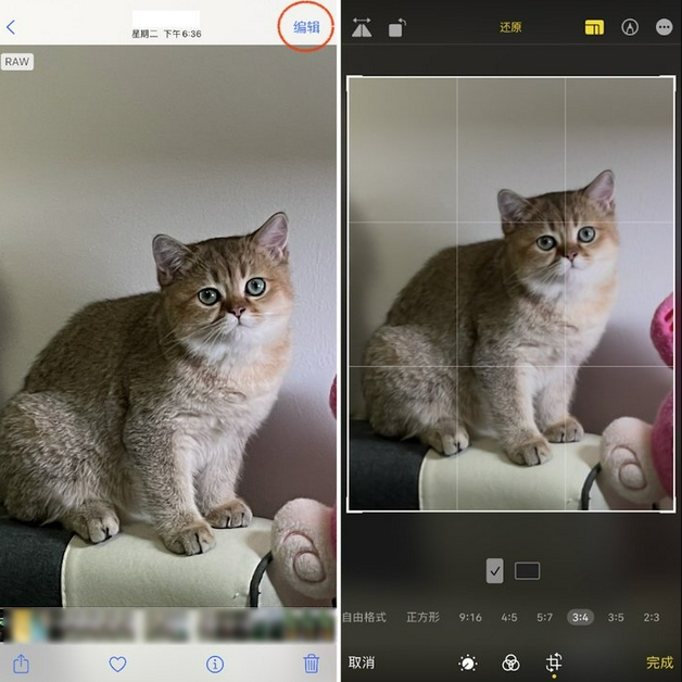 泰安苹果手机维修分享苹果 iPhone 12 Pro 拍照会过度锐化 