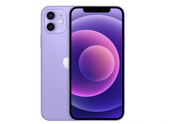 泰安苹果手机维修分享现阶段要不要入手紫色版iPhone12 