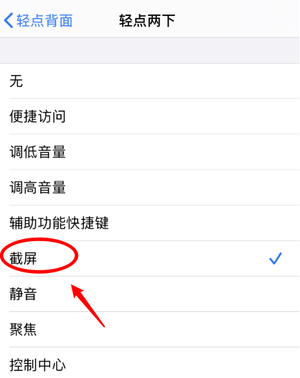 泰安苹果手机维修分享iPhone12如何启用双击截屏 